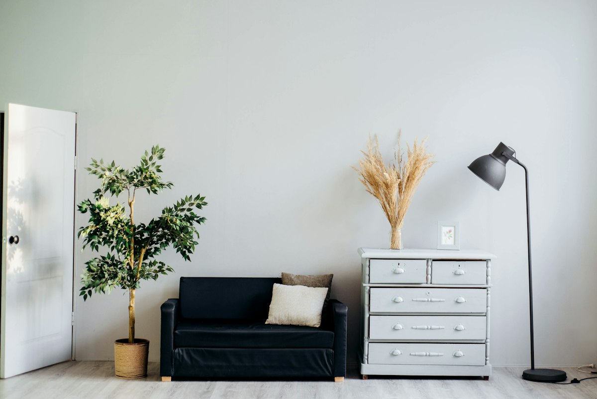 Lush indoor botanical oasis with diverse potted houseplants thriving in bright ambient light