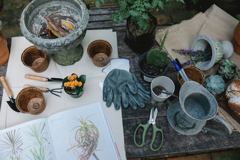 How to Organize Your Home's Yard and Garden Tools