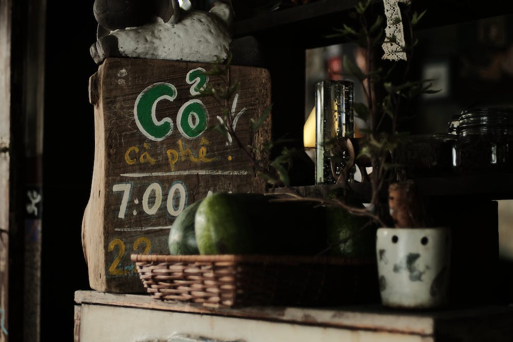5 Ways to Incorporate Plants into Your Home Decor