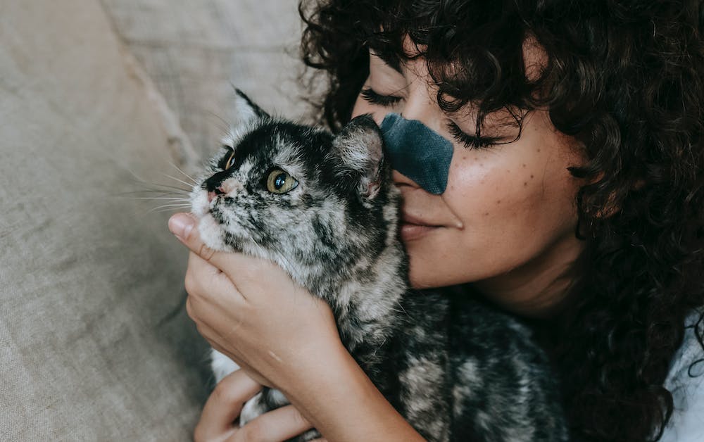 The Best Home Organization Solutions for Pet Owners