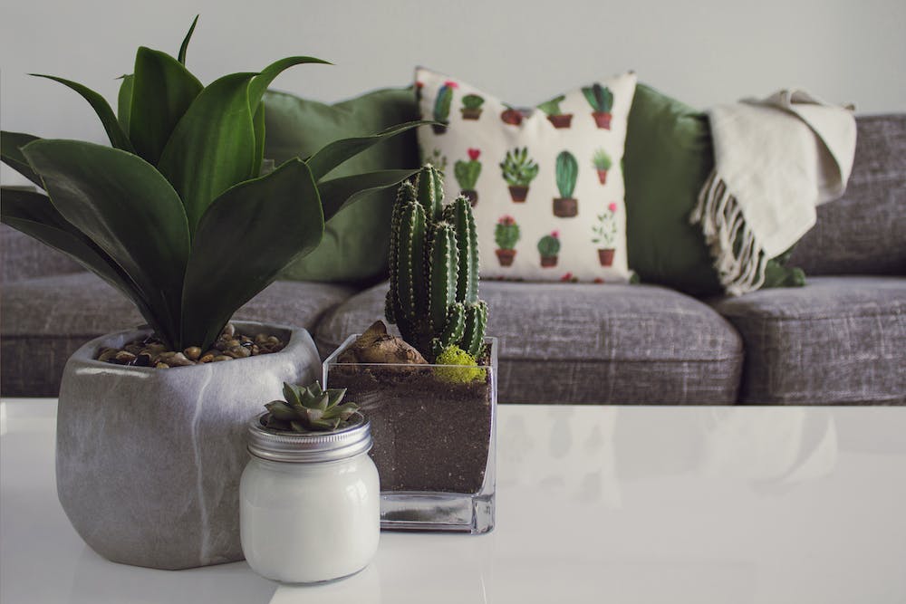 7 Home Decor Ideas for a Modern Farmhouse Look