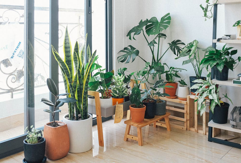 The Benefits of Creating a Home Meditation Garden