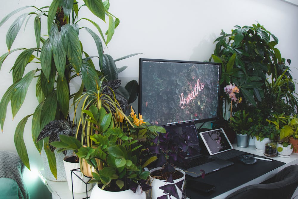 How to Organize Your Home's Technology and Devices