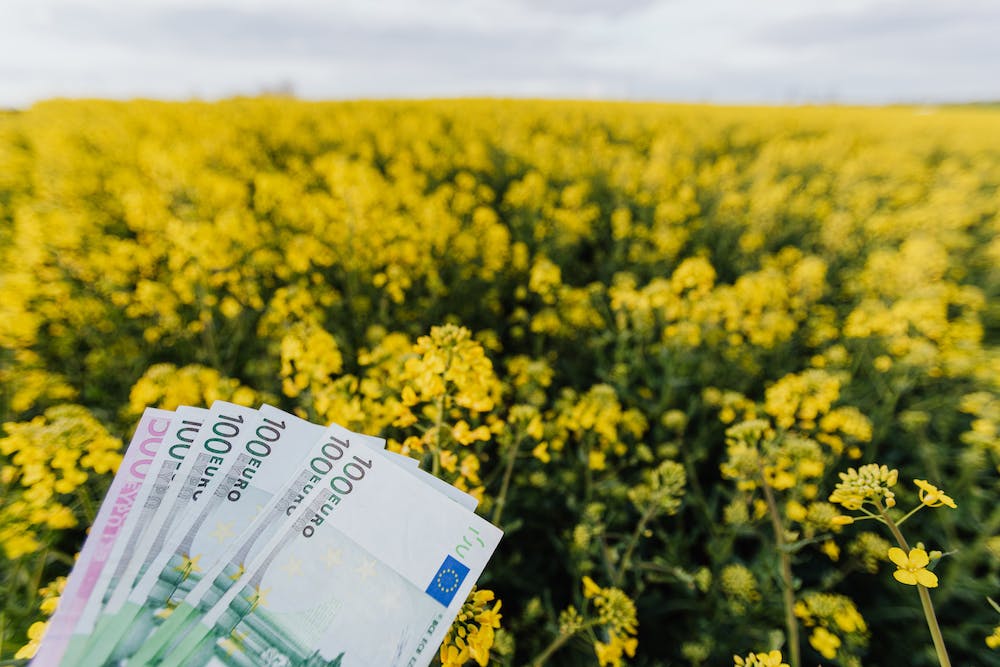 5 Home Financing Mistakes That Can Cost You Money