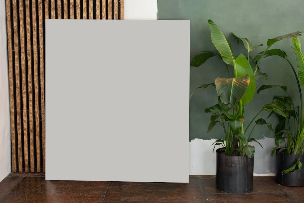 The Art of Feng Shui: How to Use It in Your Home Decor
