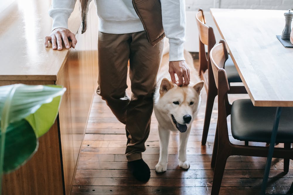 How to Find the Best Home Loan for Your Needs