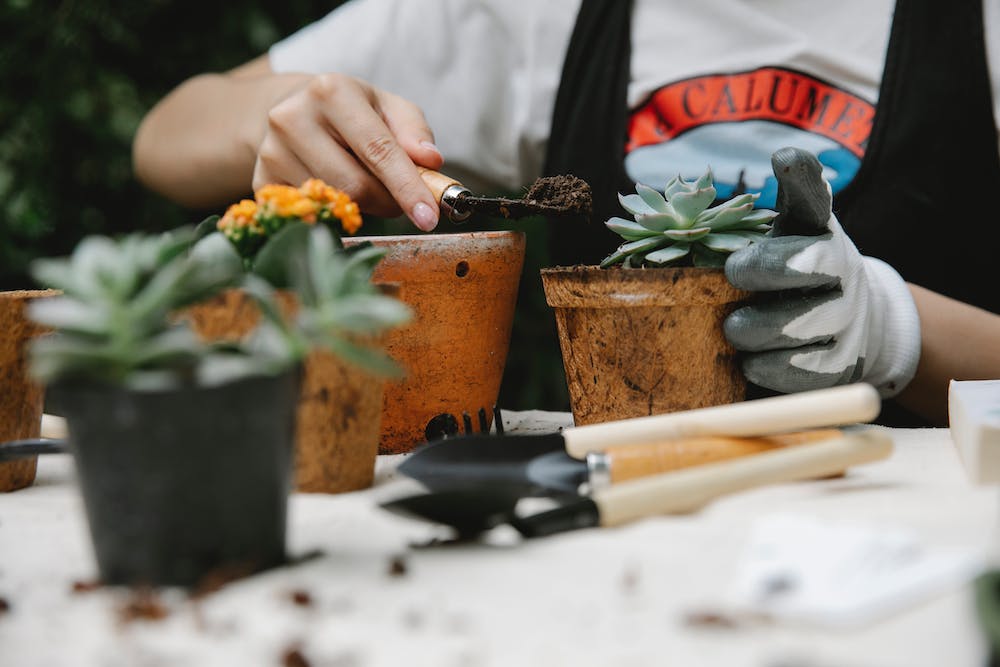 How to Organize Your Home's Yard and Garden Tools