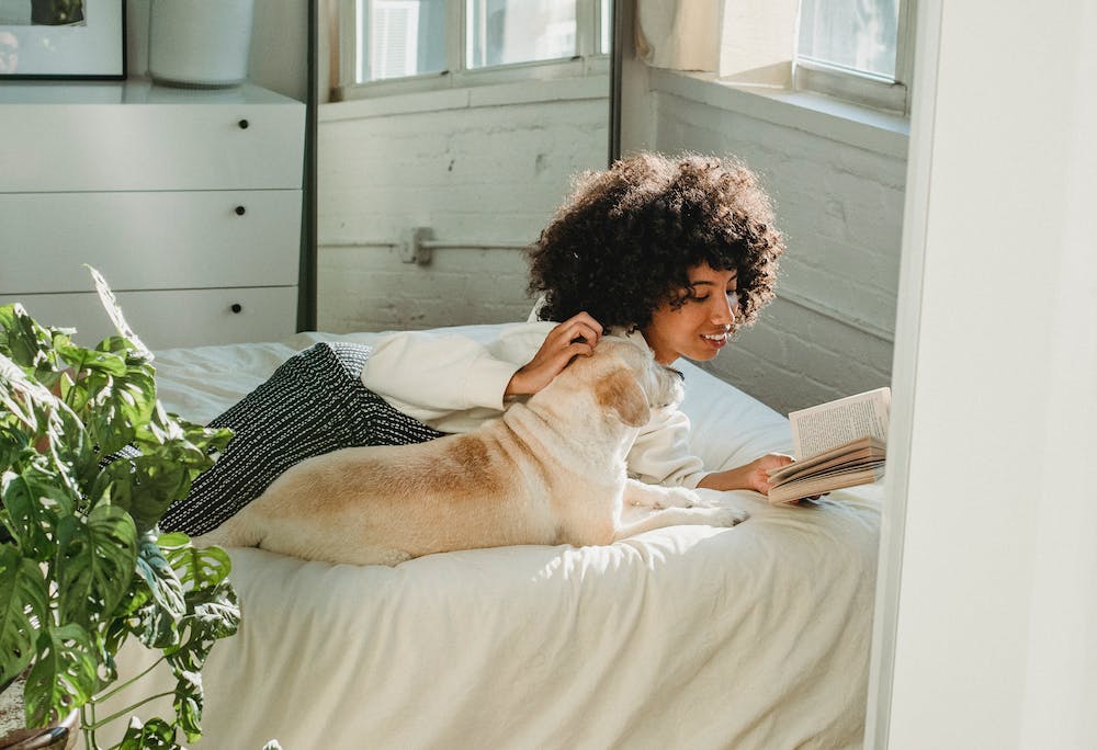The Best Home Improvement for Increasing Your Home's Comfort