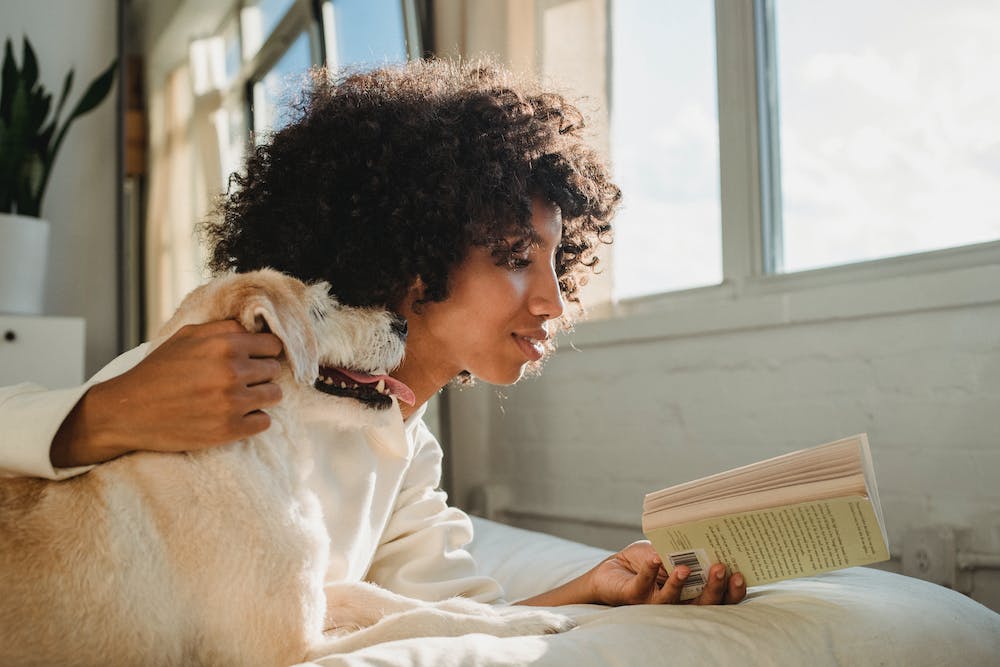 The Best Home Organization Solutions for Pet Owners