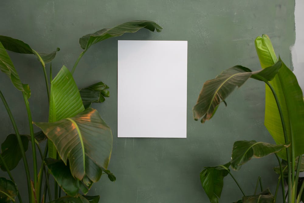 5 Tips for Creating a Gallery Wall in Your Home Decor