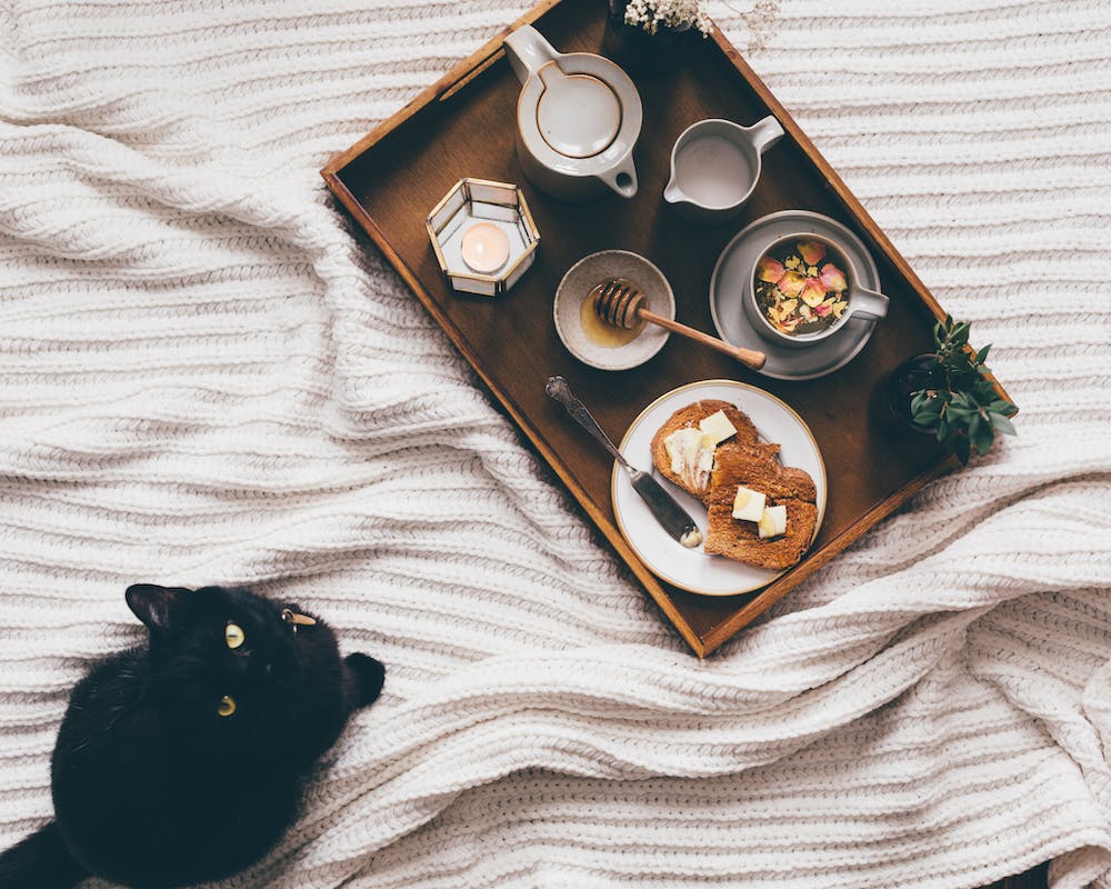 The Benefits of Installing a Home Security Pet Camera